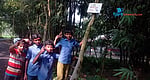 সড়কের গাছে গাছে ঝুলছে শিশুর লেখা সচেতনতার বার্তা