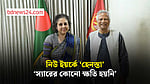 ইউনূসের কোনো ক্ষতি হয়নি, বলছেন তার সফরসঙ্গী