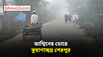 আশ্বিনের ভোরে কুয়াশায় ঢাকা শেরপুর, শীতের আমেজ