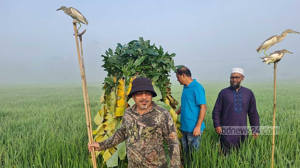 শেরপুরে পাখি শিকার বন্ধে অভিযান, ৫টি ‘শিকারী’ বক উদ্ধার