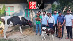 ‘অসহায়’ দুই শিশুর পরিবারের পাশে স্বপ্ন