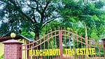 চা বাগানের ব্যবস্থাপককে কুপিয়ে ৭ লাখ টাকা ছিনতাই, আটক ২