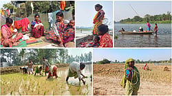 বিশ্ব গ্রামীণ নারী দিবস ও অদৃশ্য শ্রমের গল্প
