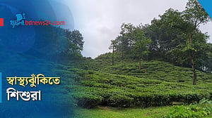 পুষ্টিকর খাবার জোটে না, চিকিৎসা পেতেও ভোগান্তি চা বাগানে