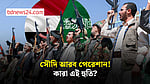হুতি কারা? তাদের শক্তির উৎস কী?