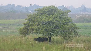 ১৮ অক্টোবর ২০২৬