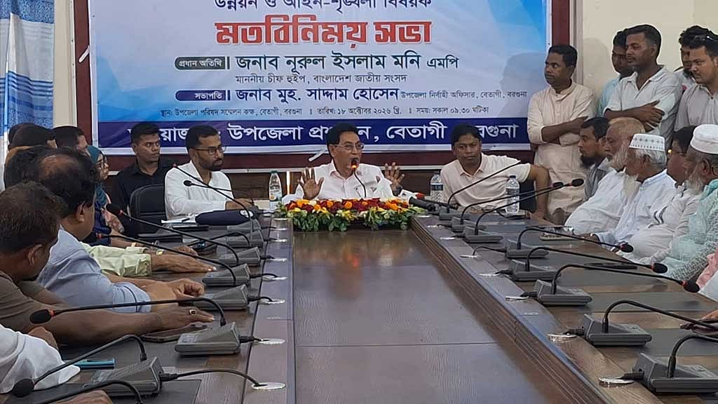 আগামী বছর দেশে বিদ্যুৎ বিক্রির জায়গা থাকবে না: চিফ হুইপ
