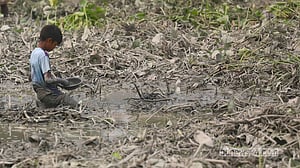 ১৯ অক্টোবর ২০২৬