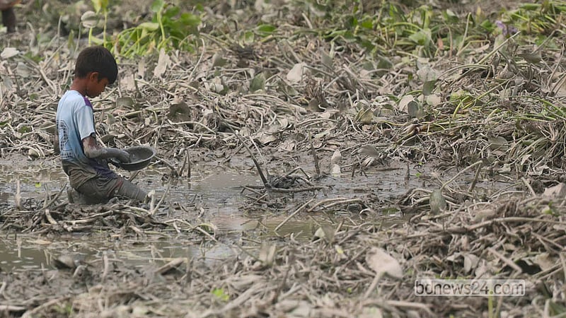 বর্ষার পানি খেত থেকে নেমে যাওয়ায় সেখানে থাকা কচুরিপানা সরিয়ে মাছ ধরছে এক শিশু। ঢাকা কেরাণীগঞ্জের ঘোষকান্দা এলাকা থেকে তোলা।&amp;nbsp; ছবি: আব্দুল্লাহ আল মমীন