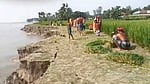 ব্রহ্মপুত্রে ভাঙন: ১৭ পরিবারের বসতভিটা বিলীন, কাঁচা ধান কাটছেন কৃষক