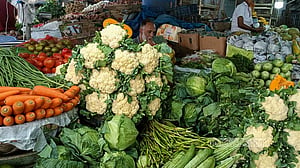 বাজারে বাড়ছে শীতের আগাম সবজি, দাম এখনো চড়া