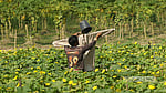 ২৪ অক্টোবর ২০২৬
