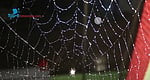 মাকড়সার জাল