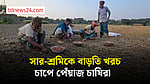 ফরিদপুরে সার-শ্রমিক সংকটে ব্যাহত ‘মুড়িকাটা’ পেঁয়াজের আবাদ