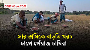 ফরিদপুরে সার-শ্রমিক সংকটে ব্যাহত ‘মুড়িকাটা’ পেঁয়াজের আবাদ