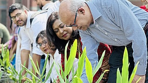 ফজলে হাসান আবেদের জন্মবার্ষিকীতে বৃক্ষ রোপণ
