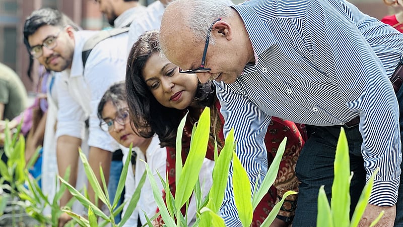 ফজলে হাসান আবেদের জন্মবার্ষিকীতে বৃক্ষ রোপণ