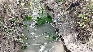 বরিশালে ছিড়ে পড়ে থাকা বিদ্যুতের তারে প্রাণ গেল মা ও ২ শিশুর