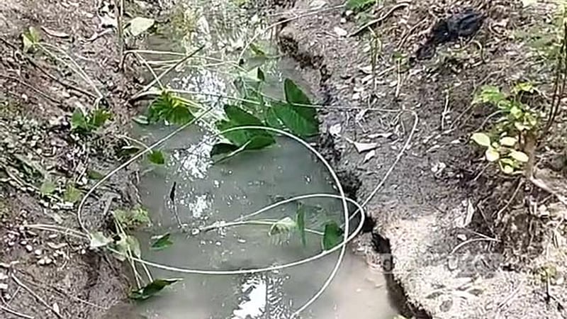 বরিশালে পড়ে থাকা বিদ্যুতের তারে প্রাণ গেল মা ও ২ শিশুর