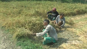 চুয়াডাঙ্গায় ফের সর্বোচ্চ তাপমাত্রা, মে মাসের শুরুতে বৃষ্টির আভাস