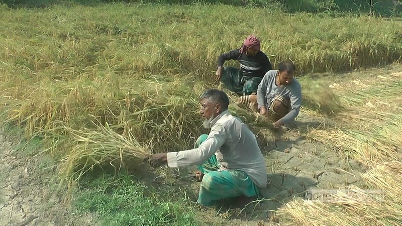 চুয়াডাঙ্গায় ফের সর্বোচ্চ তাপমাত্রা, মে মাসের শুরুতে বৃষ্টির আভাস