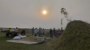 নিদারুণ গ্রীষ্মে নতুনতর অভিজ্ঞতা
