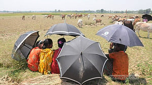 রাজশাহীতে ৫২ বছরের মধ্যে সর্বোচ্চ তাপ