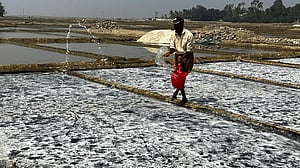 ৬৩ বছরে সর্বোচ্চ লবণ উৎপাদন