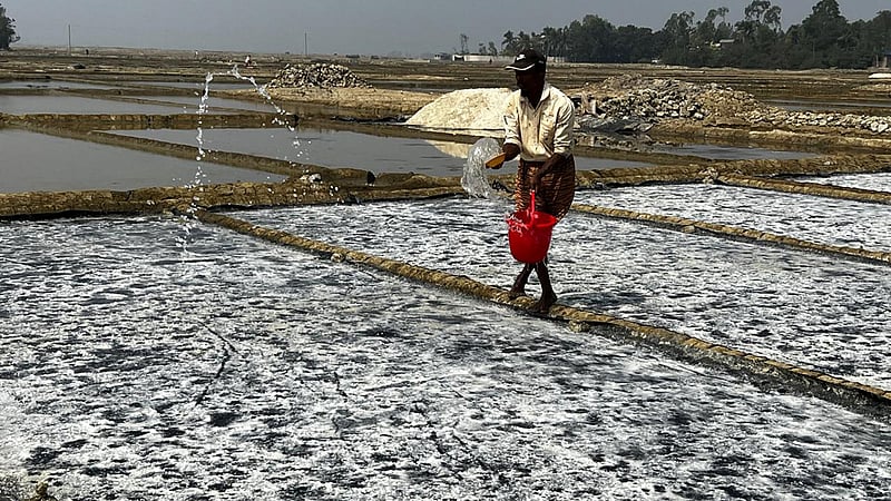 ৬৩ বছরে সর্বোচ্চ লবণ উৎপাদন