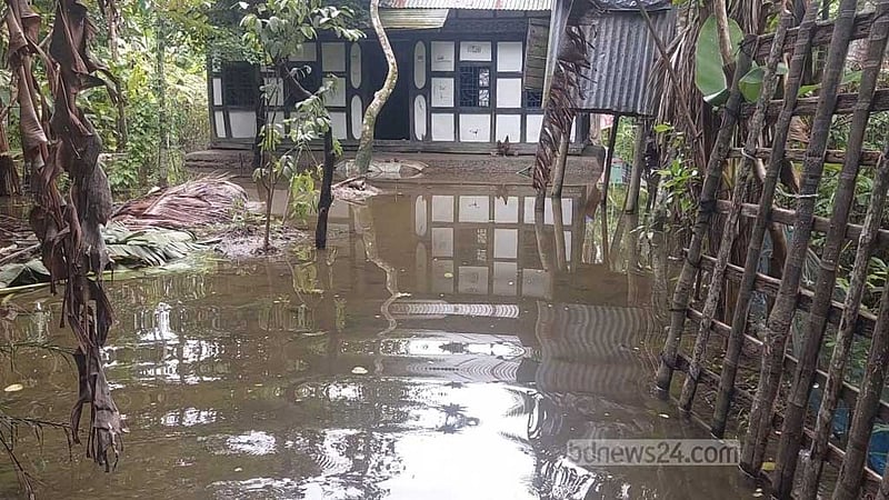 চাঁদপুরে খামারিদের স্বপ্ন ভেসে গেছে বানের পানিতে