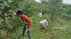 হাছান মাহমুদের ভাইয়ের দখল থেকে আরও ৩০ একর জমি উদ্ধার