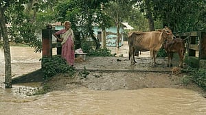 বানভাসিদের পাশে দাঁড়ানোর আহ্বান আওয়ামী লীগের