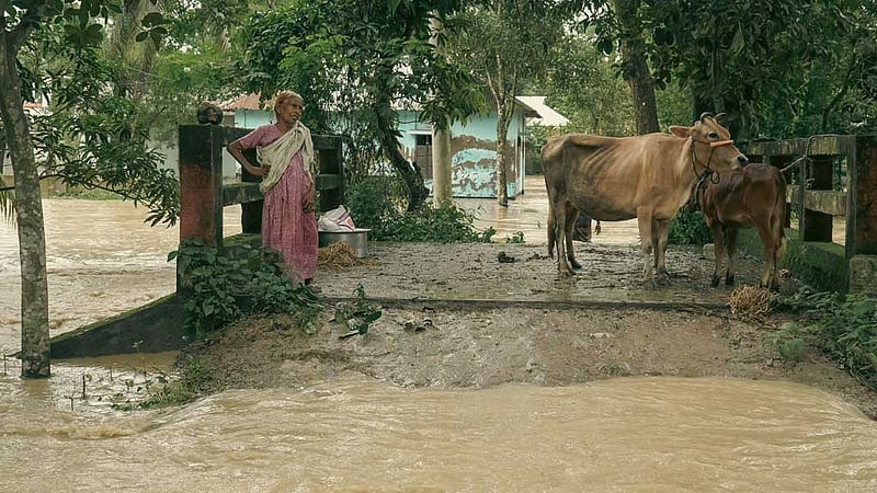 বানভাসিদের পাশে দাঁড়ানোর আহ্বান আওয়ামী লীগের