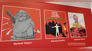 কার্টুনে বিদ্রোহ, রক্তঝরা দিনলিপি