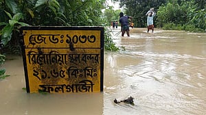 ফেনীর মোবাইল টাওয়ার সচলে বিনামূল্যে ডিজেল দেওয়ার নির্দেশ