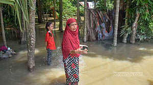 পানি নামছে, ভেসে উঠছে সোনাগাজীর ক্ষত