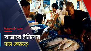 ইলিশ মাছের দামের চালচিত্র
