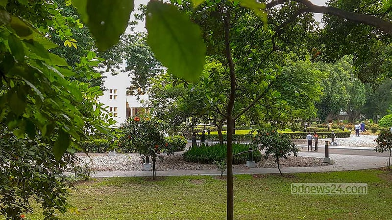 যমুনা ছাড়ছেন ইউনূস, তারেক ওঠার আগে সংস্কারে যাবে ১ মাস