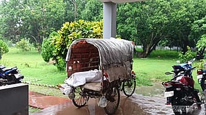 মুজিবনগরে নিজের ঘরে যুবককে গলা কেটে হত্যা