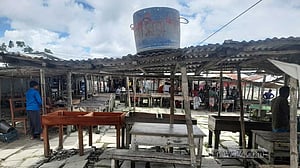 ভরা মৌসুমেও ইলিশ মিলছে না ভোলায়, চরম সংকটে জেলেরা