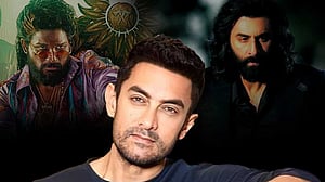 ‘পুষ্পা’ বা ‘অ্যানিমাল’ সিনেমায় পৌরুষের ‘জয়জয়কার’, আমির হতাশ