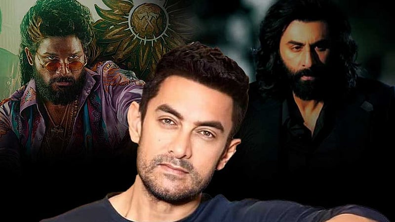 ‘পুষ্পা’ বা ‘অ্যানিমাল’ সিনেমায় পৌরুষের ‘জয়জয়কার’, আমির হতাশ