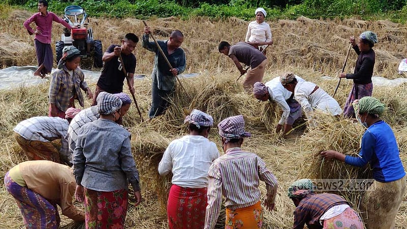 পাহাড়ে ‘শ্রম বিনিময়’ প্রথায় গোলায় উঠছে ধান
