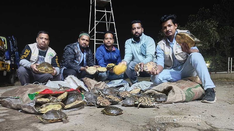 চাঁদপুর থেকে ২৮০ কেজি কচ্ছপ উদ্ধার