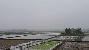 তীব্র শীতে বিপর্যস্ত গোপালগঞ্জের জীবনযাত্রা