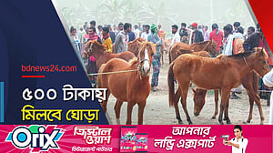 দেশের সবচেয়ে প্রাচীন ঘোড়ার হাট বসছে এখনো