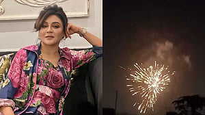 আতশবাজি-ফানুসের তাণ্ডবে প্রাণী হত্যার দায় আপনারও: জয়া