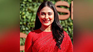 সিনেমার ‘পোস্টারে ঢাকা’ তনুর গ্রাফিতি, ক্ষমা চাইলেন মেহজাবীন