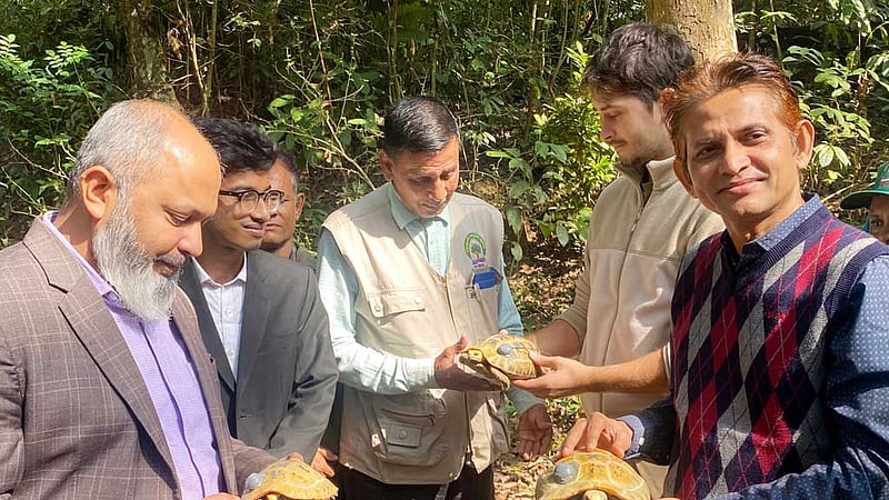 ট্রান্সমিটারসহ লাউয়াছড়া উদ্যানে ছাড়া হল ৬ হলুদ কচ্ছপ