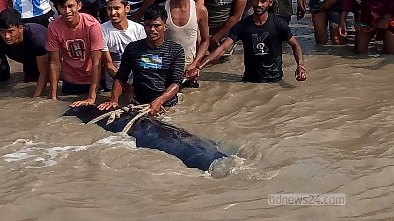 হাতিয়ায় মেঘনার তীরে ভেসে এল ‘বাচ্চা’ তিমি, পরে অবমুক্ত